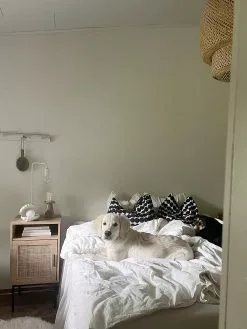 Beliani Mesa De Noche Madera Clara/negro 40 X 40 Cm PASCO -Mesas comercio undef src sa picid 827479 type whitesh image